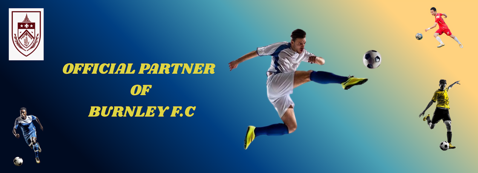 Professional soccer tips and predictions